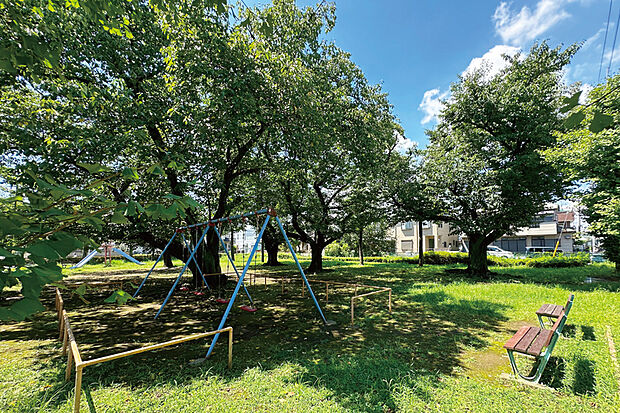 さつき公園（現地より徒歩10分）