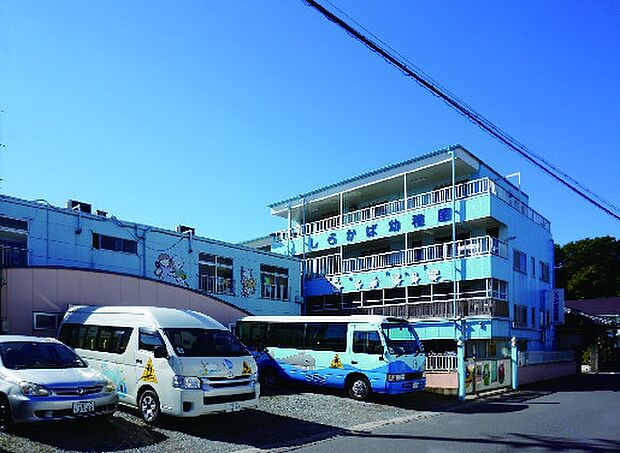 【しらかば幼稚園】(現地より徒歩11分)
