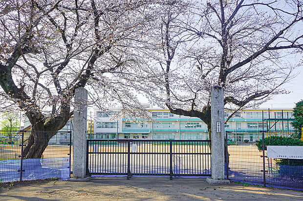 小針小学校（現地より徒歩27分）