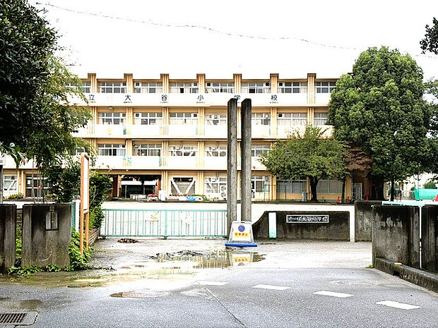 大谷小学校　