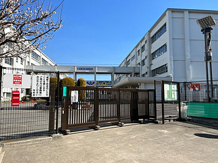 茅ヶ崎市立鶴が台中学校 1015m