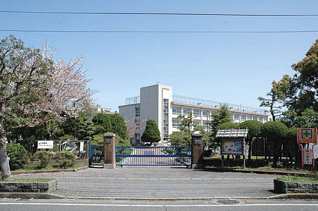 港小学校　