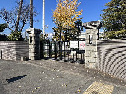 国府津小学校 196m