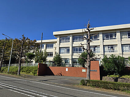 滝の沢小学校 534m