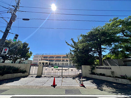 大磯町立大磯小学校 1525m
