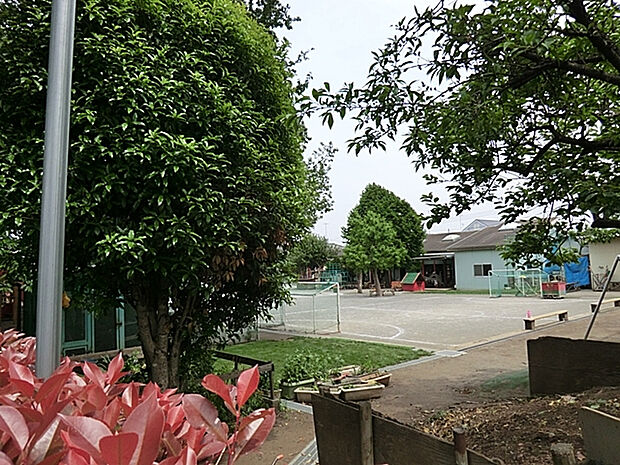 なかの幼稚園（約789m）