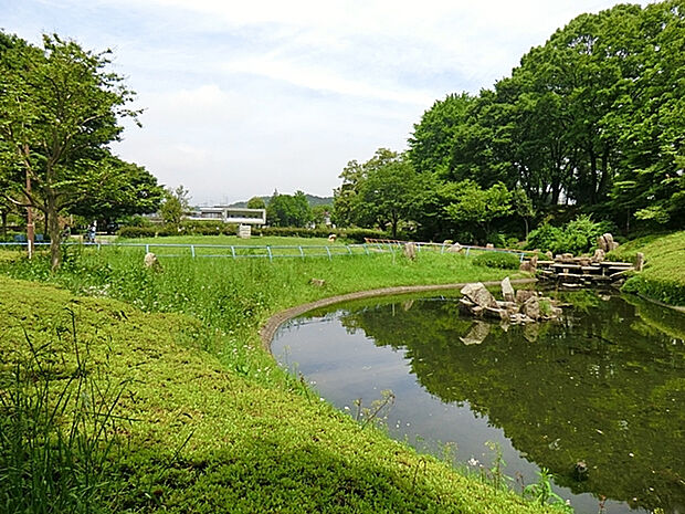 清水公園（約955m）