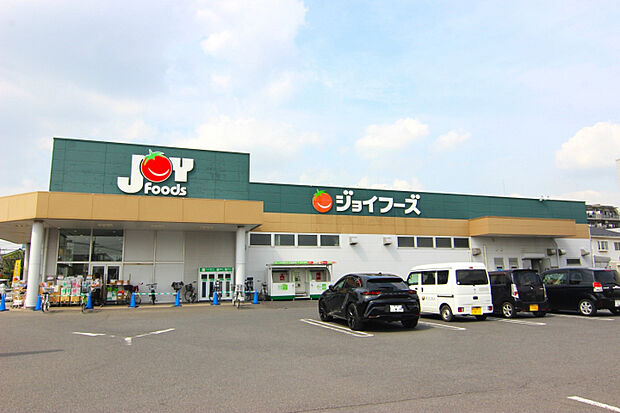 ジョイフーズ越谷大袋店　