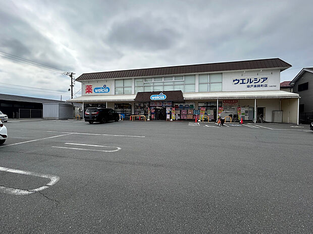 ウエルシア坂戸薬師町店（約160m）
