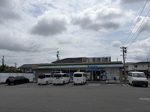 ファミリーマート藤枝瀬古東店（約700m）