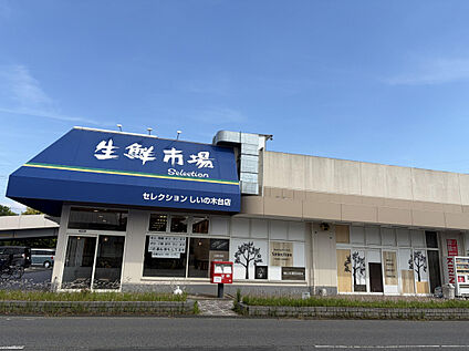 セレクション しいの木台店 1400m