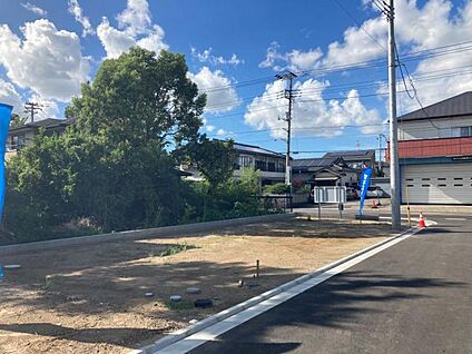 No.1（撮影_2024年9月）