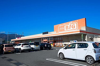ザ・ビッグ甲府長松寺店 330m(5分)