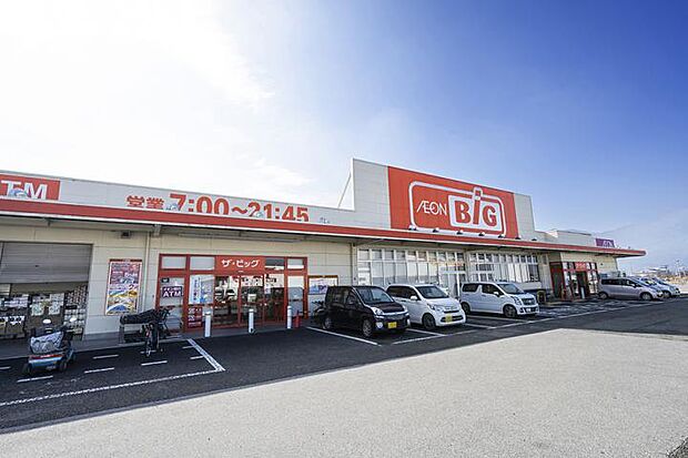 ザ・ビッグ甲西店（約1,420m・徒歩18分）