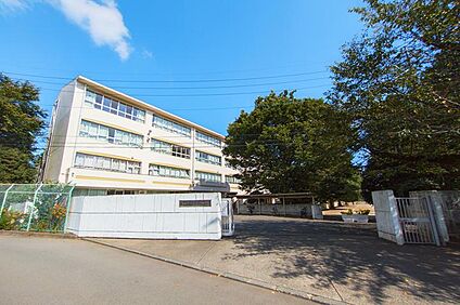 狭山市立入間野中学校 1510m(19分)