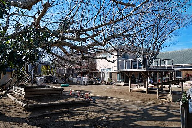 光の子幼稚園(約520m・徒歩7分)