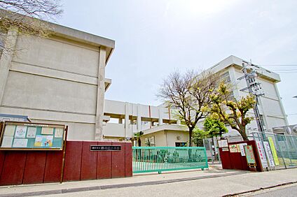明石市立錦が丘小学校 約600m～700m(徒歩約8分～9分)