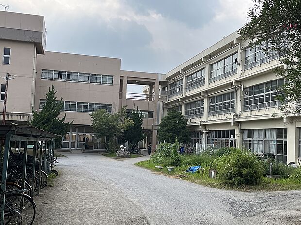 清水台小学校(約438m)