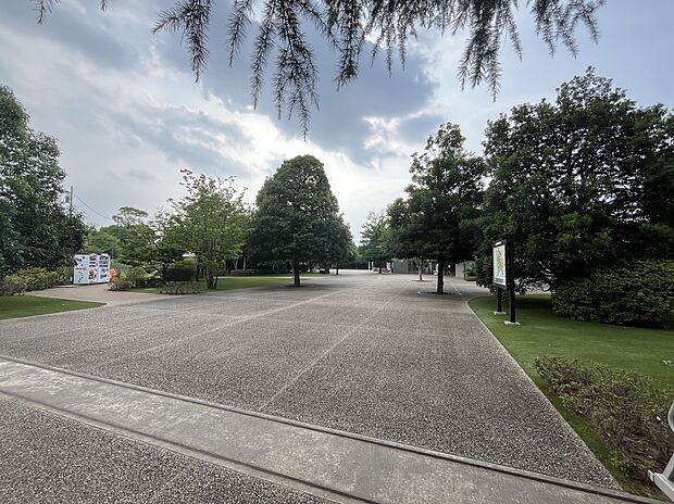 清水公園(約296m)