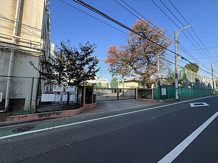 等々力小学校 約720m(徒歩9分)