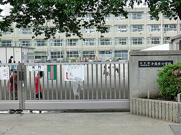 千歳台小学校