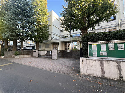 石神井中学校 約880m( 徒歩11分)
