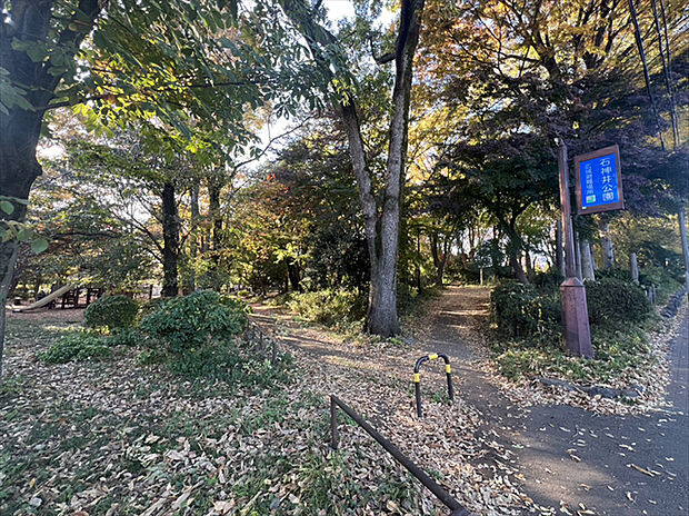 石神井公園