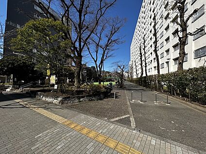 広尾公園 約640m(徒歩8分)