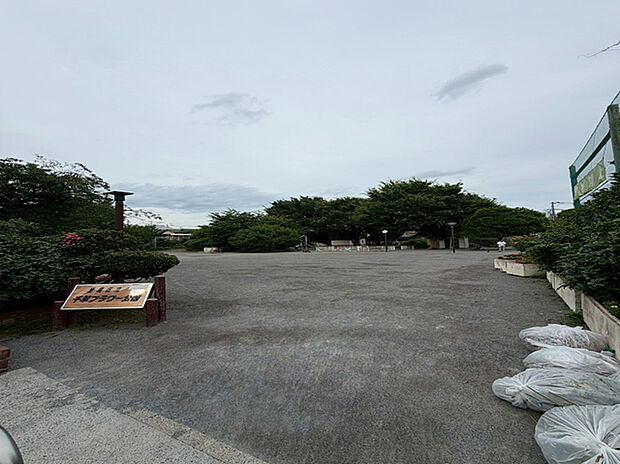 千早フラワー公園
