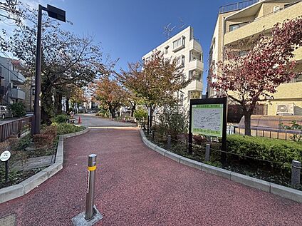 玉川上水緑道 約240m(徒歩3分)