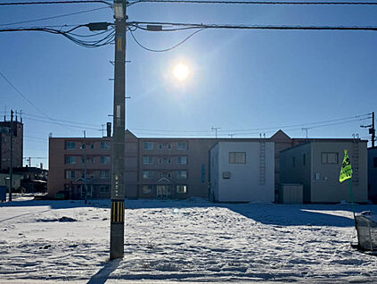 【4号地現地写真】