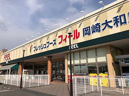 フィール 岡崎大和店 約590～650m(徒歩8～9分)