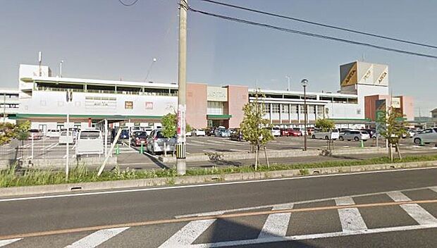 アピタ 安城南店