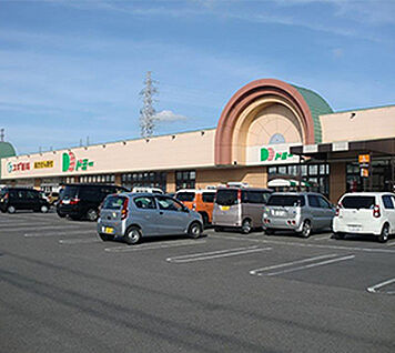ドミー 幸田店 約650m(徒歩9分)