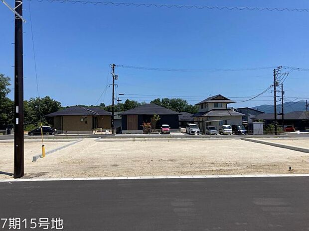 7期15号地