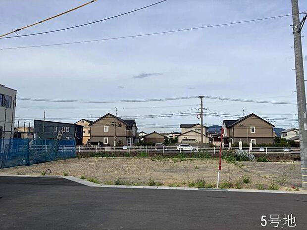5号地