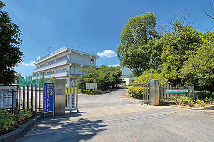 尾山台小学校（現地より徒歩6分） 約480m