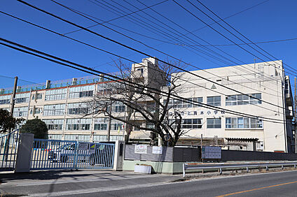 上青木小学校（現地より徒歩4分） 約320m