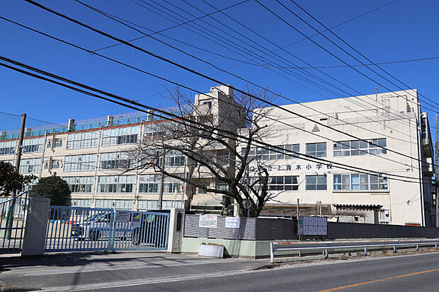 上青木小学校（現地より徒歩4分）