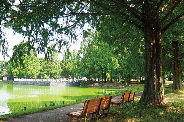 ホットスタッフ川越パーク(川越公園)(現地より徒歩25分)