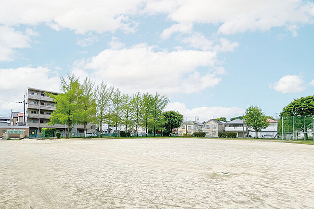 山崎公園(現地より徒歩9分)