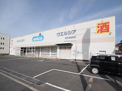 ウエルシア 泉大津助松店 約220～240m(徒歩3分)
