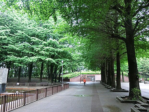 小平市立中央公園