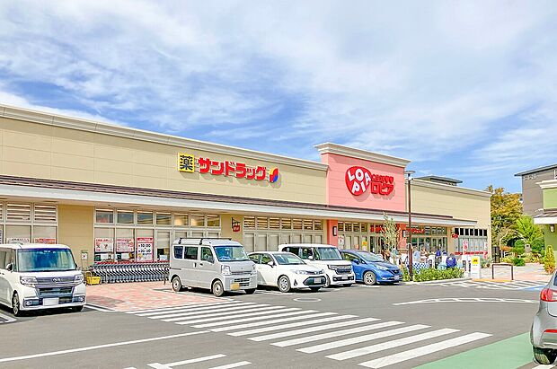 ロピア取手店（約800m）