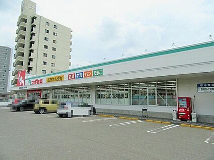 スギドラッグ稲沢奥田店 約80ｍ(徒歩約1分)