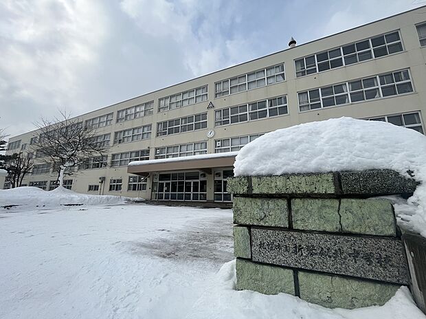 新琴似北中学校（約1m）