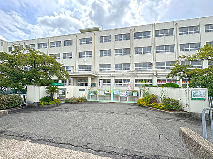 柳川小学校 240ｍ～330ｍ(徒歩3分～5分)