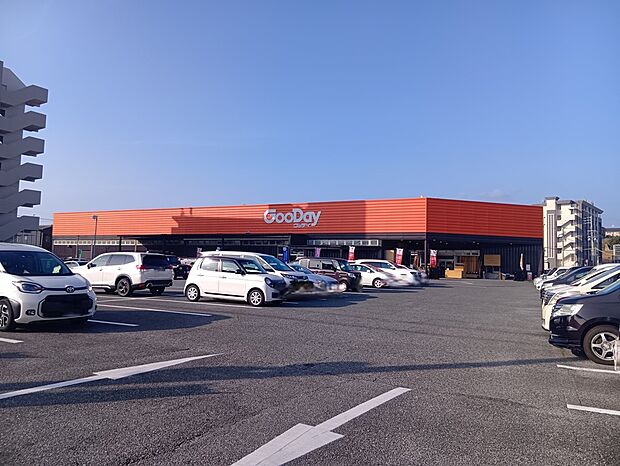 ホームセンターグッデイ土井店（約1,600m）