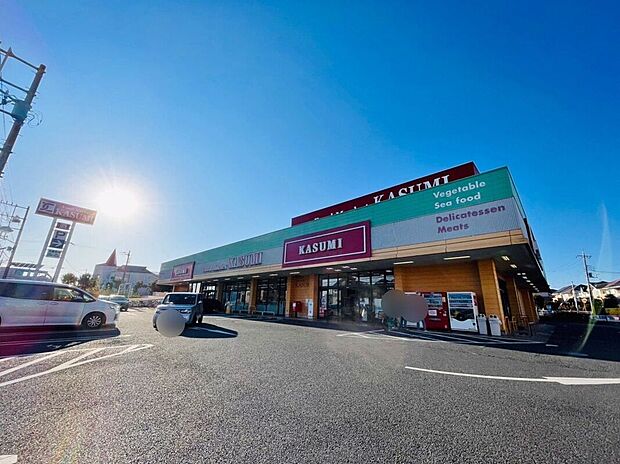 カスミ八千代大和田店(約890m)