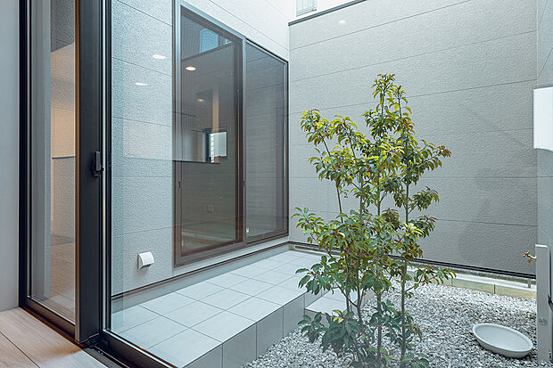 木の成長も楽しみな中庭。室内からは季節を感じることができます。(1号棟)